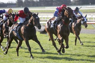 La Diosa (NZ) trained by Mandy and Matt Brown wins the NZB Canterbury Belle Stakes. Photo Credit: Race Images Christchurch.